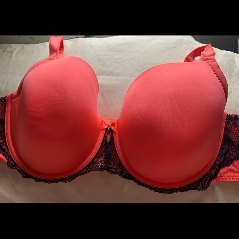 Torrid bra 46C